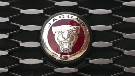 jaguar badge, vehicle's front design