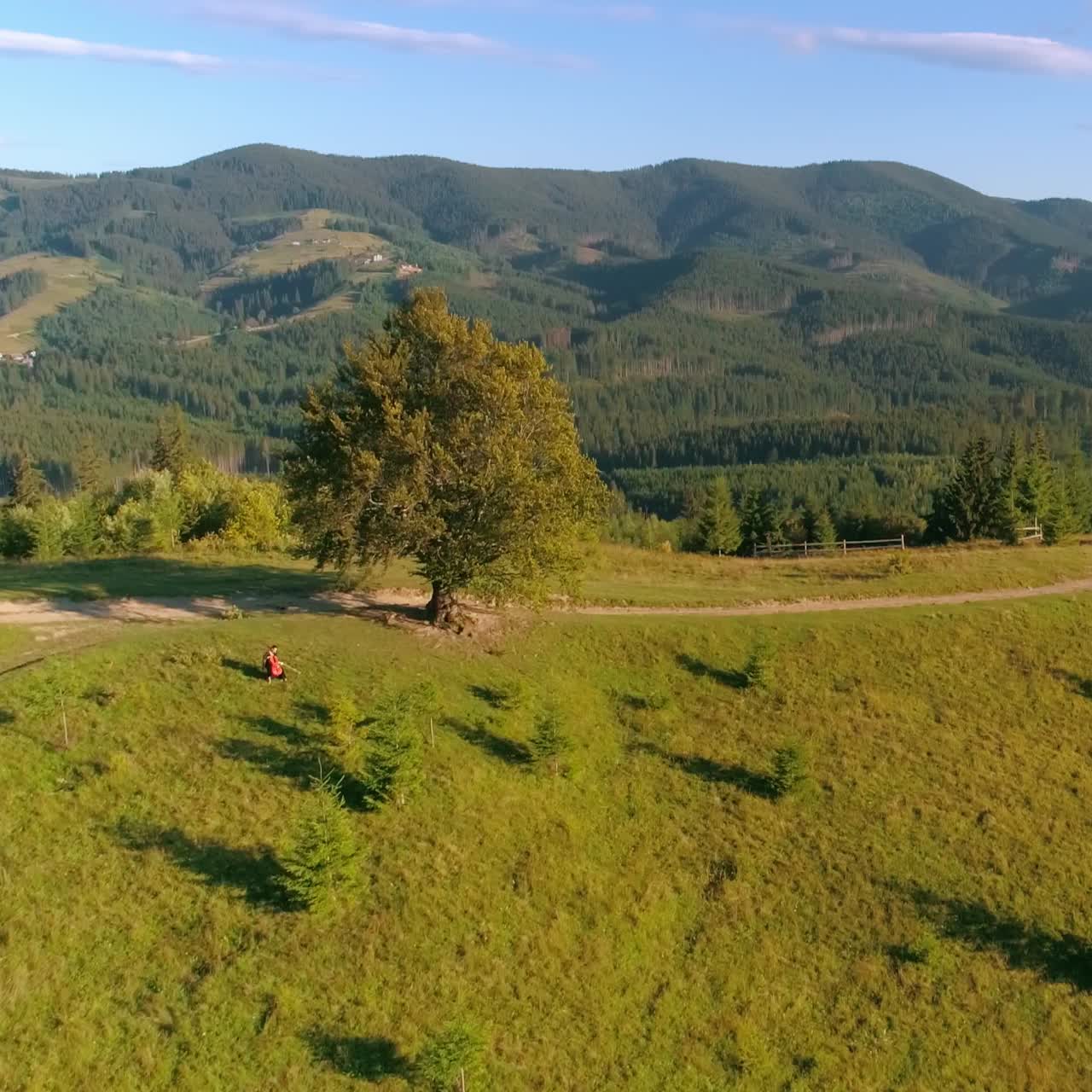 Belles montagnes et violoncelliste. Un musicien est assis près de l'arbre avec un grand instrument de musique et joue de la musique dans un paysage de montagne verdoyant. Vue aérienne.