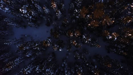 top down aerial shot of a forest and treetops covered in snow during sunset
