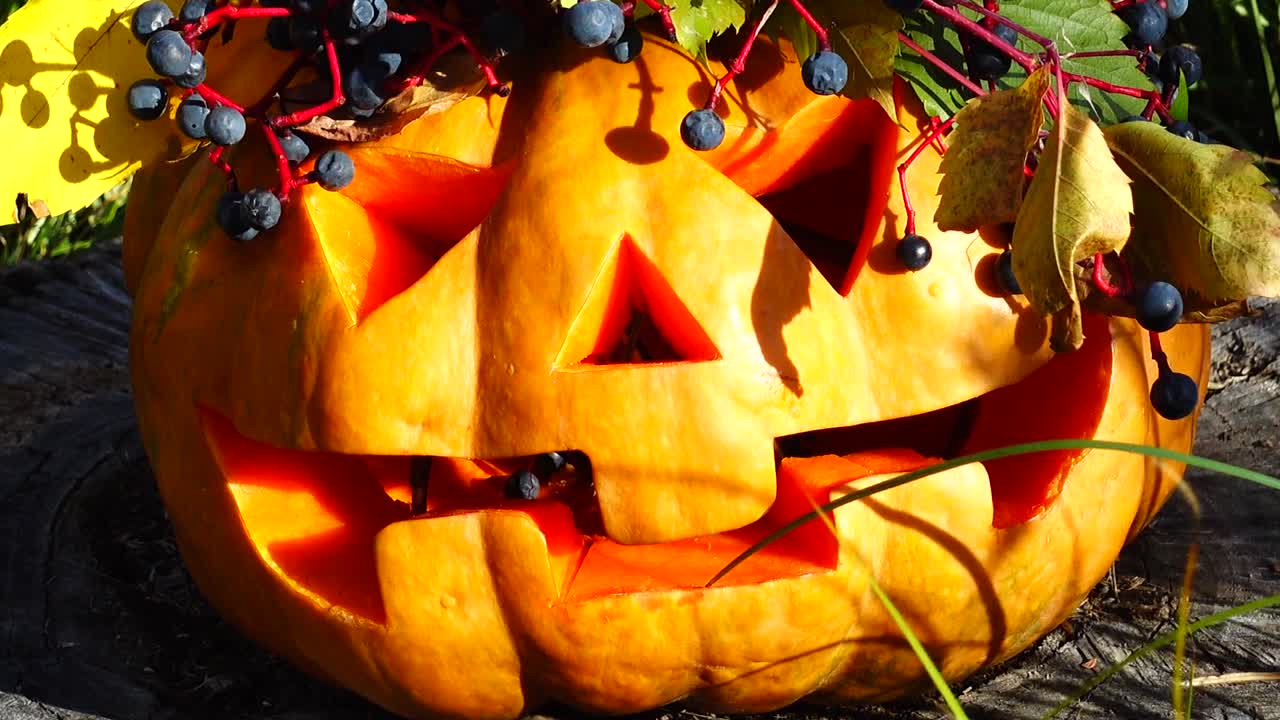 Zucca di Halloween spettrale. Il mostro è seduto su un ceppo d'albero.
