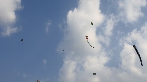 kite competition on the sky