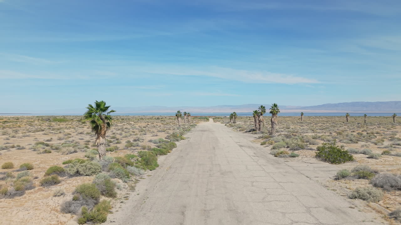 Ripresa con drone a bassa quota che sorvola una strada abbandonata fiancheggiata da palme a Salton City, California. Il Salton Sea è visibile in lontananza, evidenziando il paesaggio tranquillo