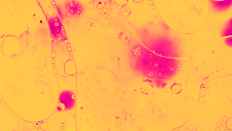 colorful oil drops floating on water surface, top view. fantastic abstract background. bright bubbles moving and spreading. close up 4k video of weird liquid structures. scientific chemical experiment