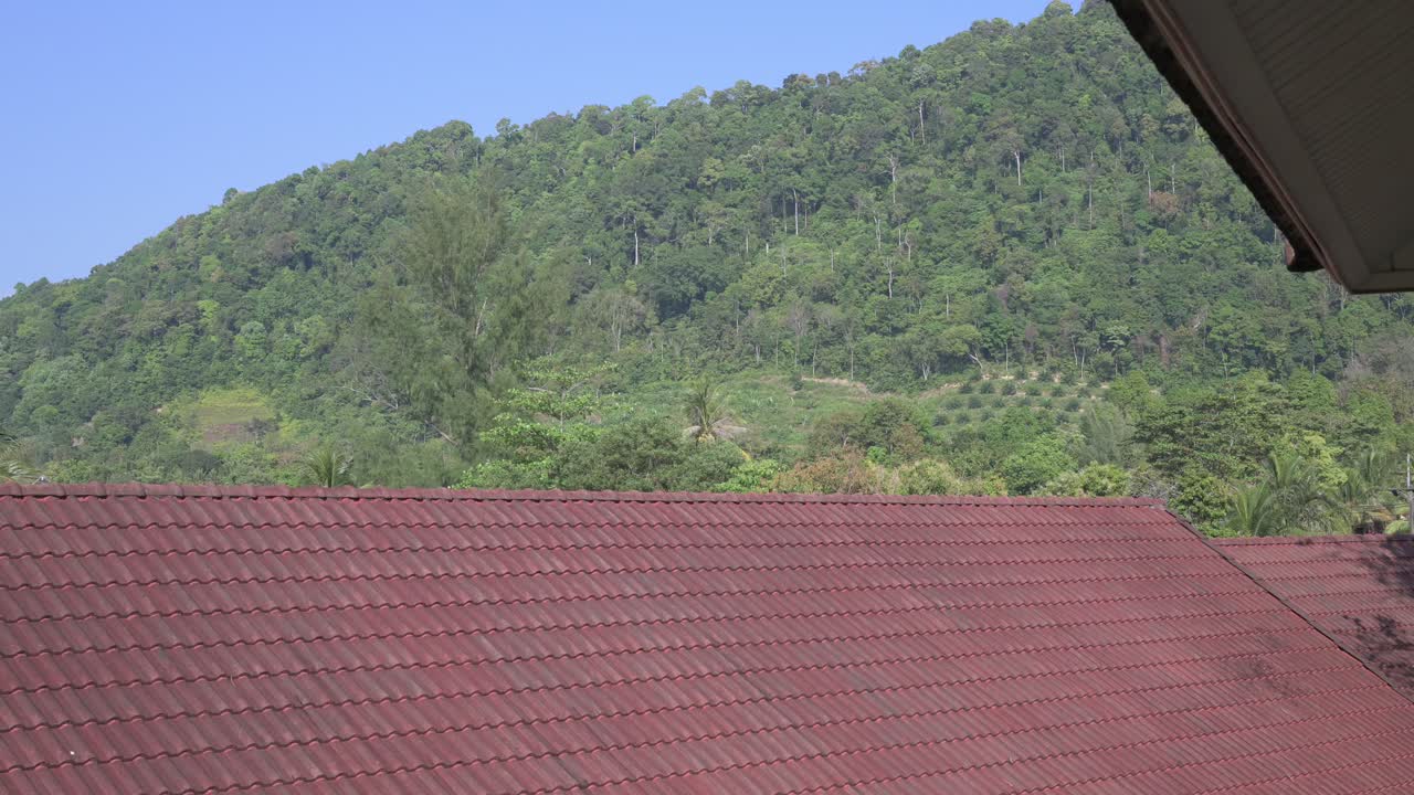 Atap berubin merah dengan bukit hijau tropis dan langit biru cerah di bawah cahaya alami