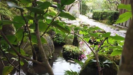 japanese garden fountain with flowers inside a buddhist temple in kyoto japan