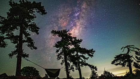 el lapso de tiempo captura el paso de la vía láctea a través del cielo, siluetas de árboles y una hamaca oscilante