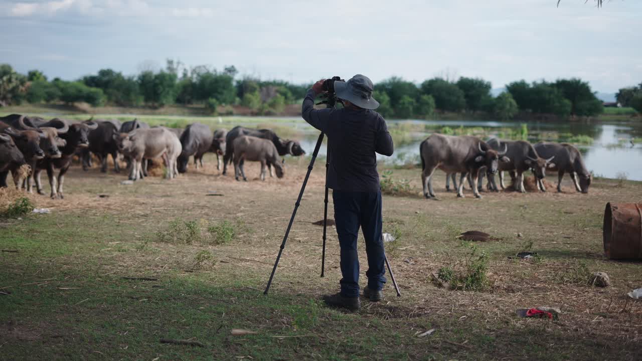 Photographer capturing water buffalo in rural landscape