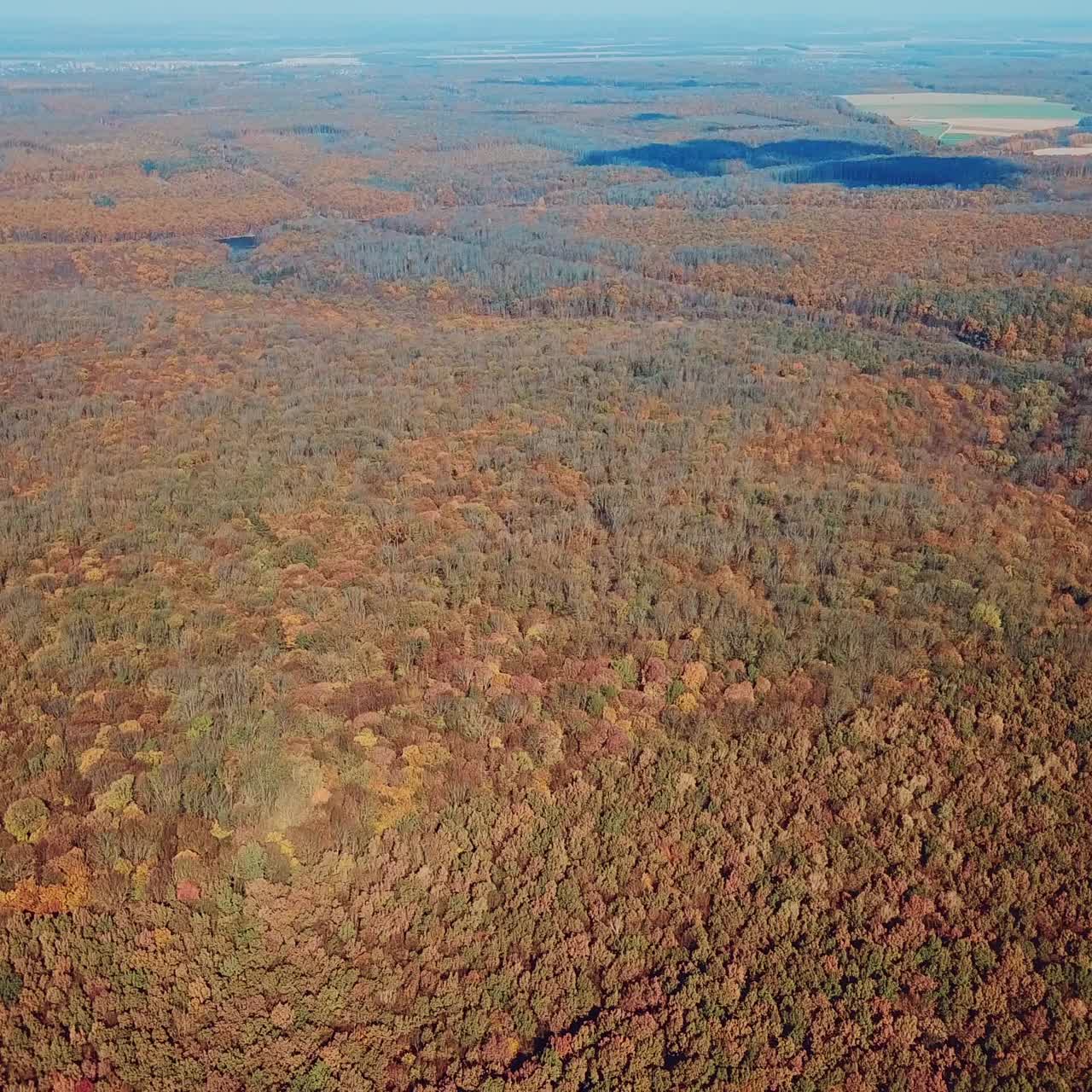 autumn forest landscape from a height. Beauty of nature. Aerial view. Camera motion forward