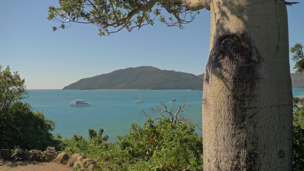 crucero navegando en el océano azul desde el mirador en la isla de langford al lado del árbol de la botella
