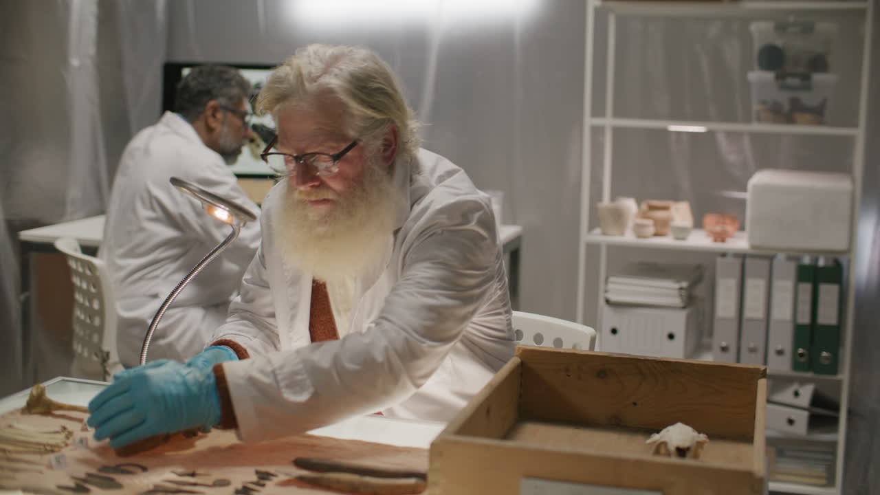 Elderly Archaeologist Organizing Ancient Artifacts on Desk in Laboratory