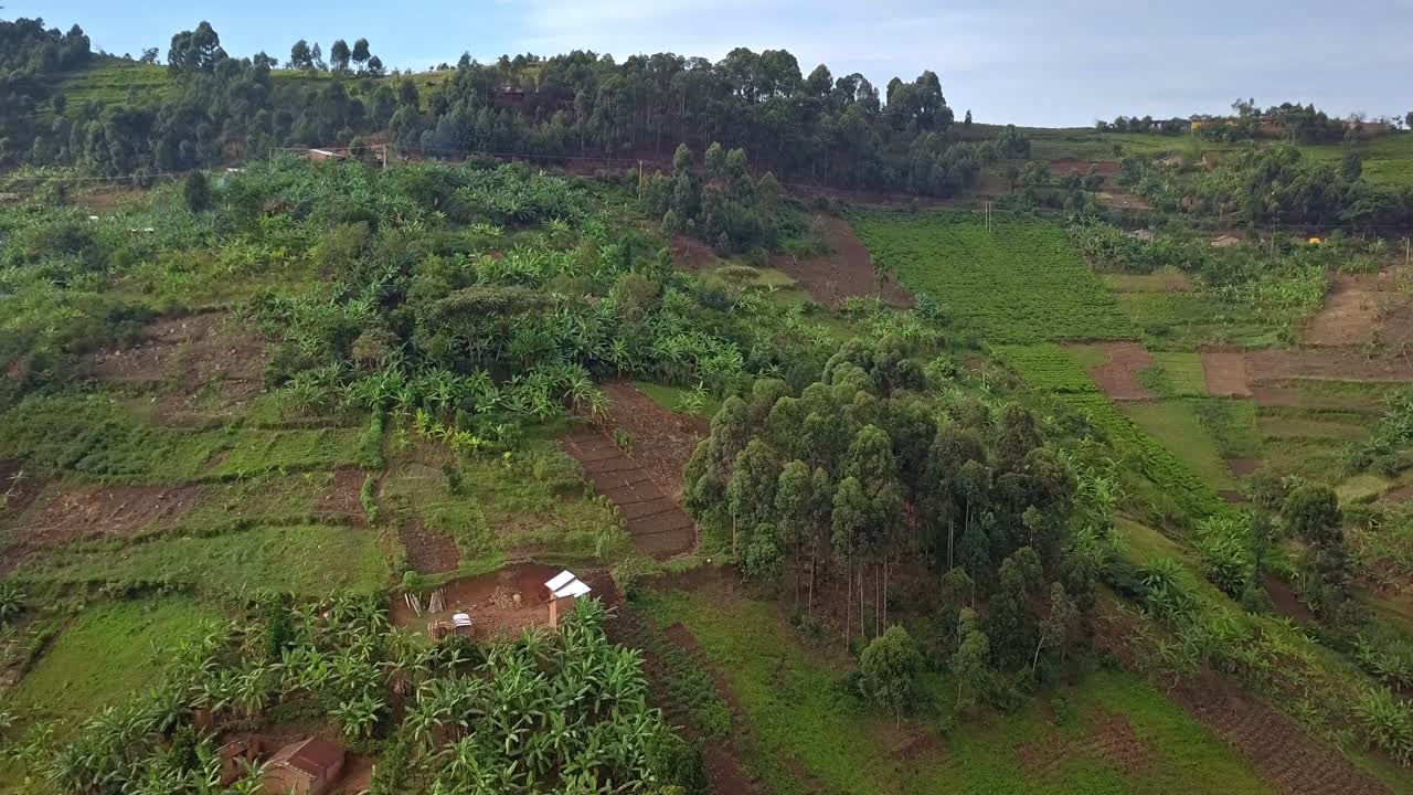 Langsom indadvendt droneoptagelse over bakket landbrugsjord, bananplantager og landlige boliger i Kanungu-distriktet, det sydvestlige Uganda, nær Bwindi Impenetrable Nationalpark.