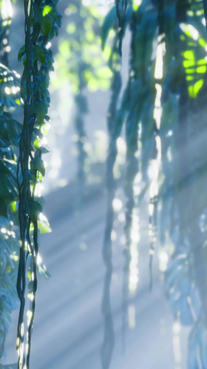 Sunlight dances through lush green foliage in a serene forest setting