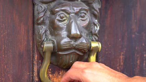 hand grabbing door knocker. colonial lion door knocker