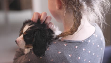 sobre el hombro de una joven que sostiene a un adorable cachorro en una sala de estar