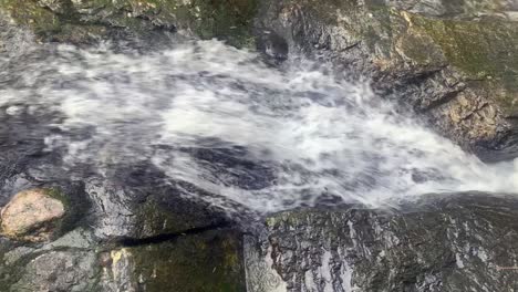 flowing stream. northern ireland. newcastle