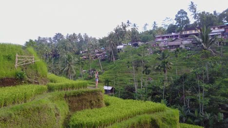 Aerial-orbits-female-blonde-tourist-in-rice-terrace-valley-in-Bali