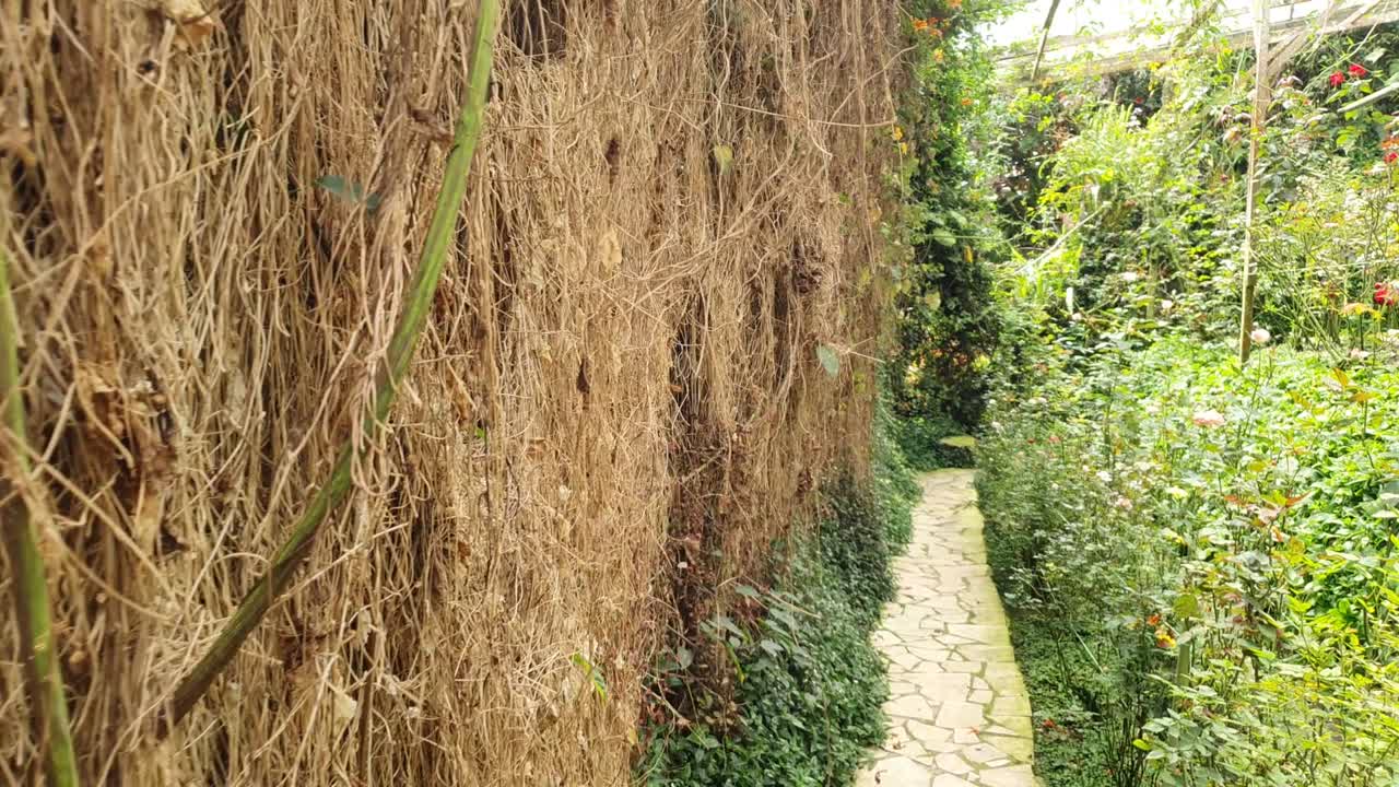 카메론 하이랜드 말레이시아의 아름다운 꽃과 풀