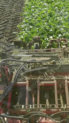 agricultural machinery cultivating green crops in a field with rich soil and vibrant foliage