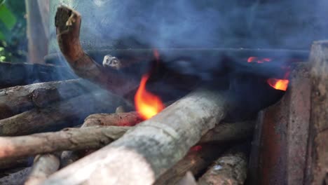 traditional stove with wood that is burned in it and gives off a fire