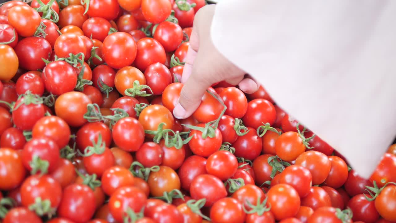 시장 에서 체리 토마토 를 손 으로 뽑는 것