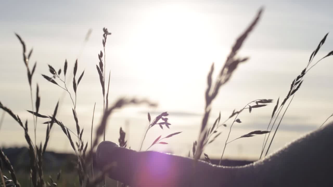 Hand and fingers against sunset with sun flares close up shot