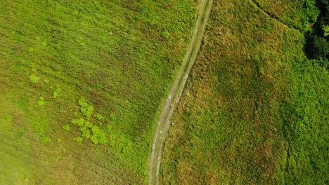 Carretera-Rural-Entre-Hermosos-Campos-Coloridos-De-Otoño-Vista-Aérea