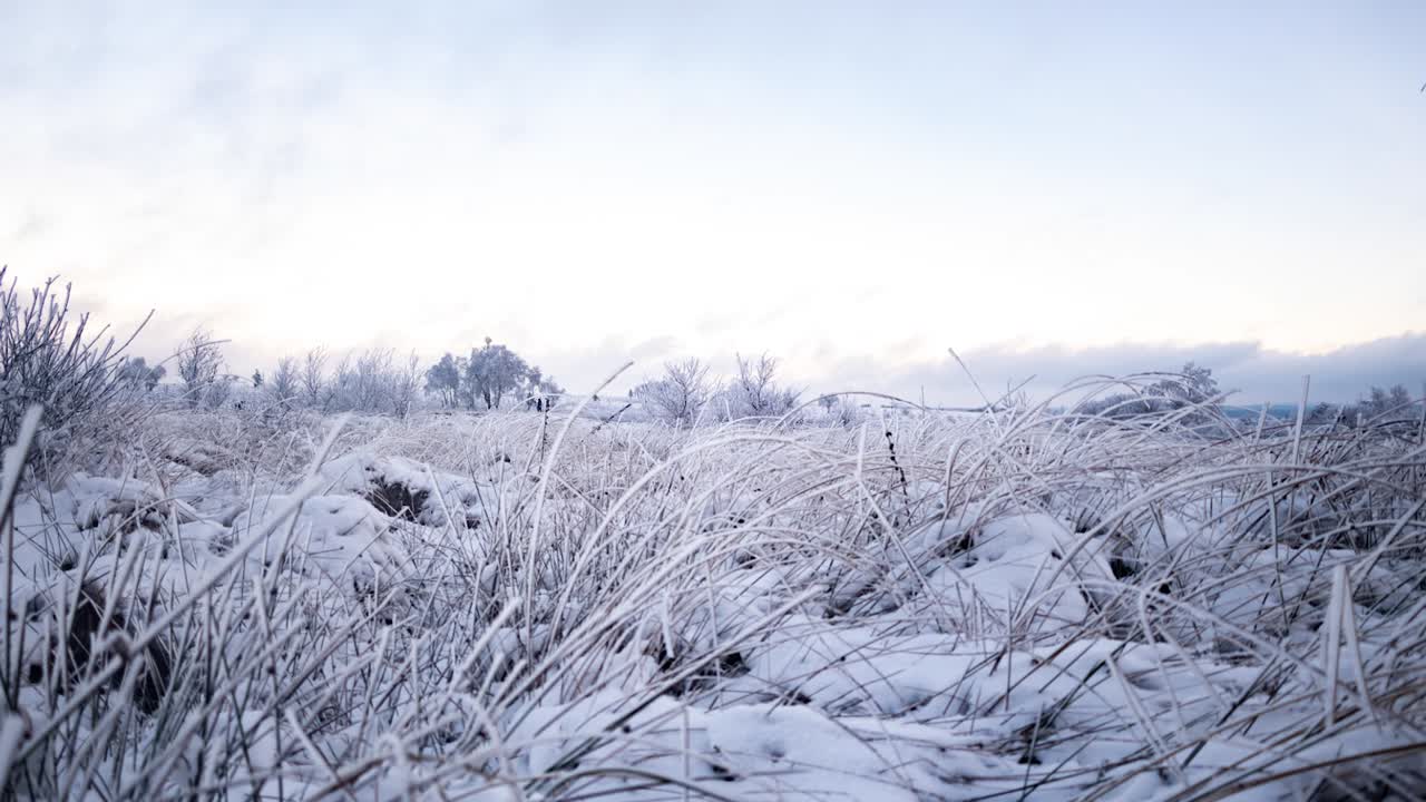 Bevægelses-timelapse af magiske vinterudsigter over hedelandskab.