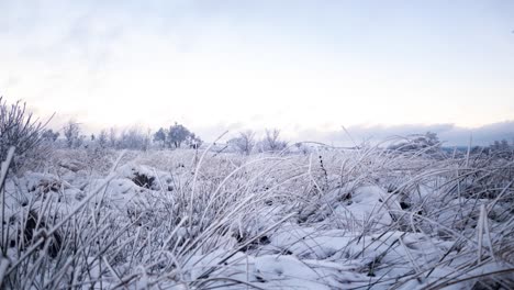 bewegungszeitraffer magischer winteransichten der moorlandschaft