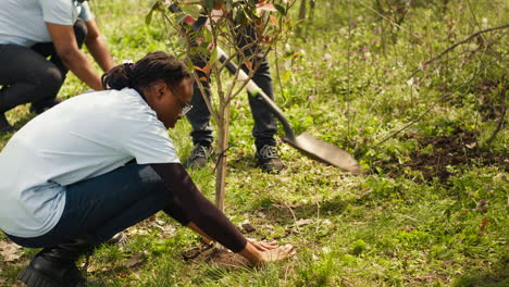 team of volunteers planting trees in the forest by digging holes in the ground