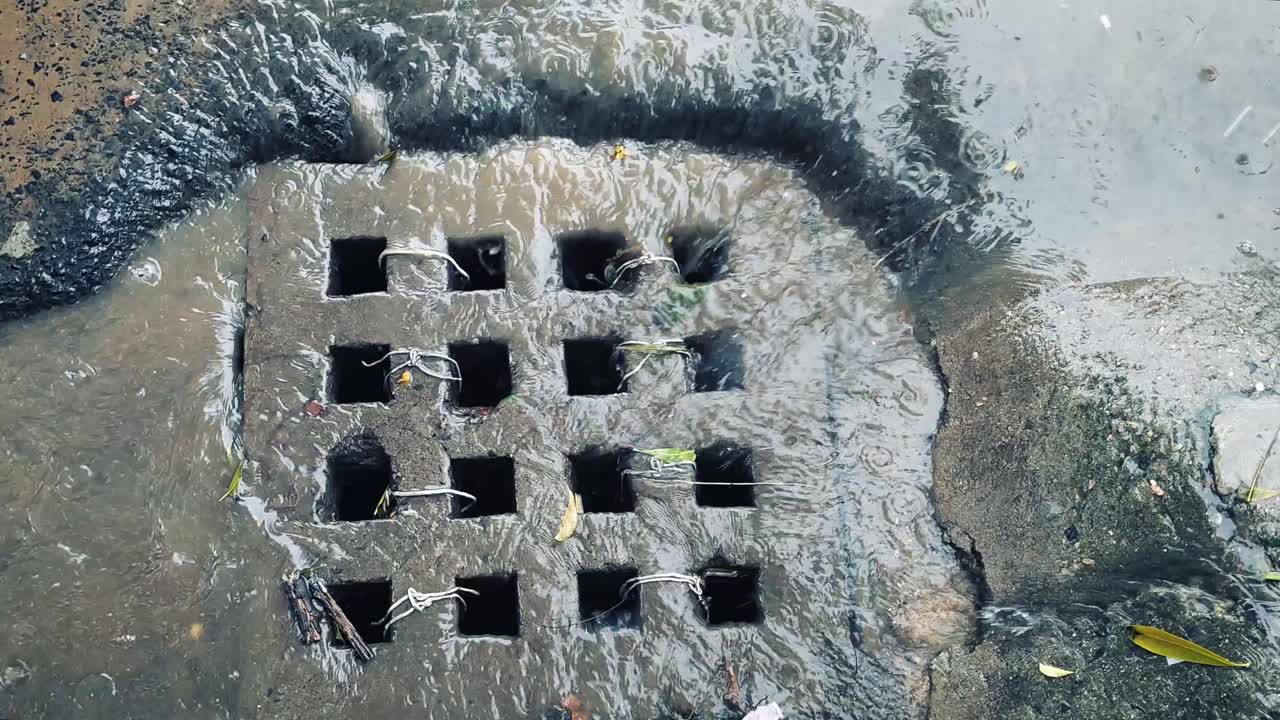 Top view of rainwater rushing into street drain during heavy rainfall – shows urban flooding, drainage and climate change impact.