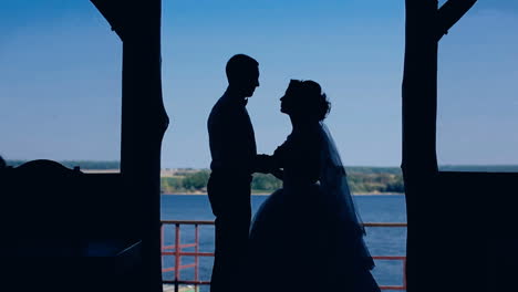 silhouette of young couple. silhouettes of wedding couple holding and kissing near lake