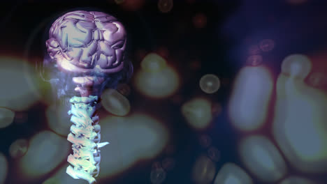 compuesto digital del cerebro humano y medusas en movimiento