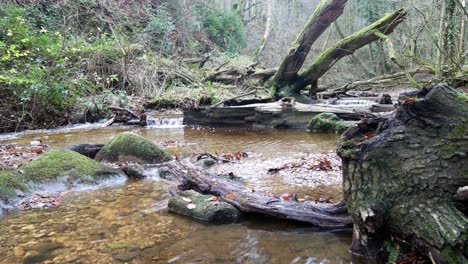 old rural copper mine river creek flowing through woodland forest vegetation