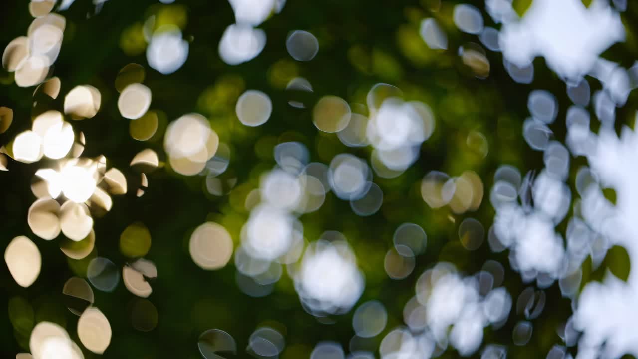 Blurred bokeh effect with circular light spots, capturing a dreamy, abstract style