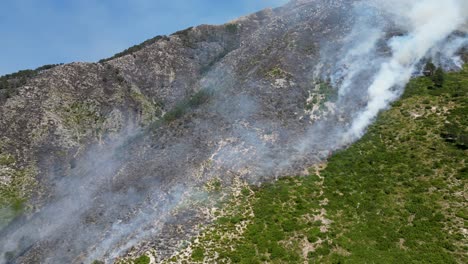 scorched forest and mountain caused by wildfire burning through the landscape