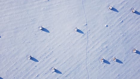 Rollo-De-Heno-Archivado-Cubierto-De-Nieve-Vista-Aérea-Baja-Luz-Del-Sol-Largas-Sombras