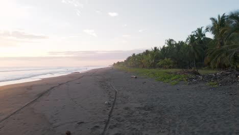 Slide-shot-over-the-ocean-surf-and-the-palm-trees-in-the-background-of-the-sandy-beach-of-playa-bandera-in-costa-rica