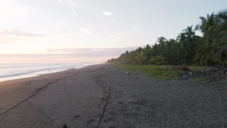 diapositiva sobre las olas del océano y las palmeras en el fondo de la playa de arena de playa bandera en costa rica