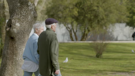 senior couple holding hands and walking in park on sunny autumn day