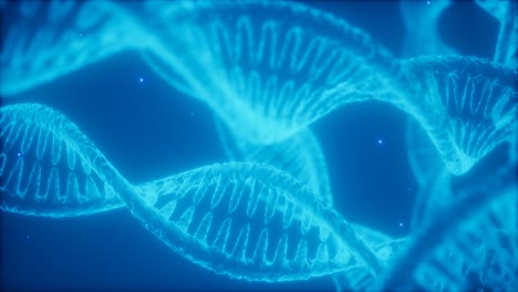 structure of the dna double helix animation