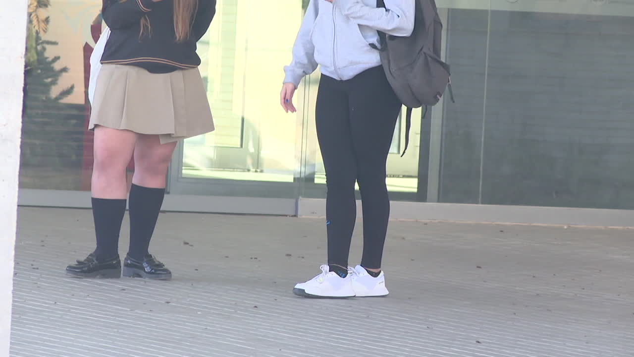 Teenage Girls in School Uniform