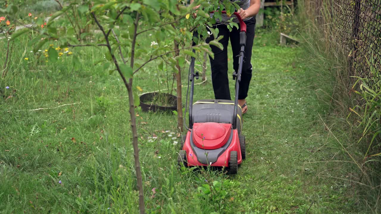 Lawn mower cut grass. Green grass in the garden and lawn mower approaching