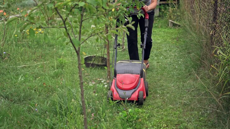 Lawn mower cut grass. Green grass in the garden and lawn mower approaching