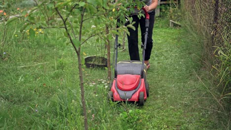 lawn mower cut grass. green grass in the garden and lawn mower approaching