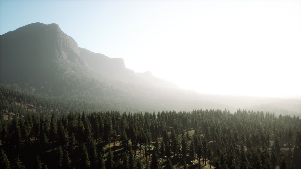 hermosa vista del atardecer en el bosque de cedros frente a la cordillera de sayan