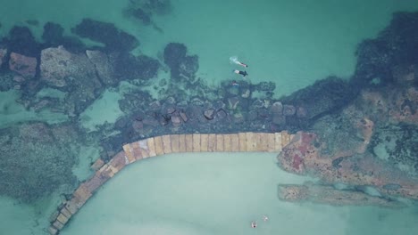 snorkelers in clear blue waters of balmoral beach, sydney, australia - top-down drone