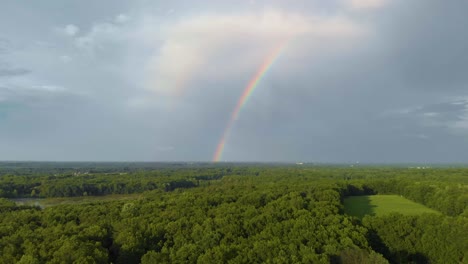 Tiro-De-Drone-Se-Inclina-Hacia-Arriba-Desde-El-Bosque-Verde-Hasta-El-Arco-Iris-En-El-Cielo