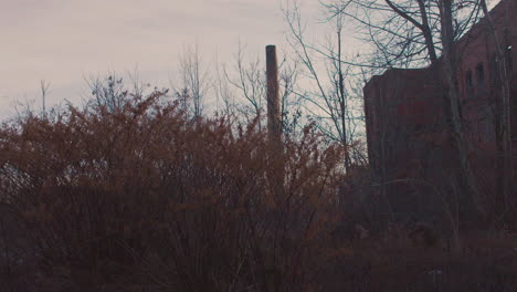 abandoned brick factory building on a fall day