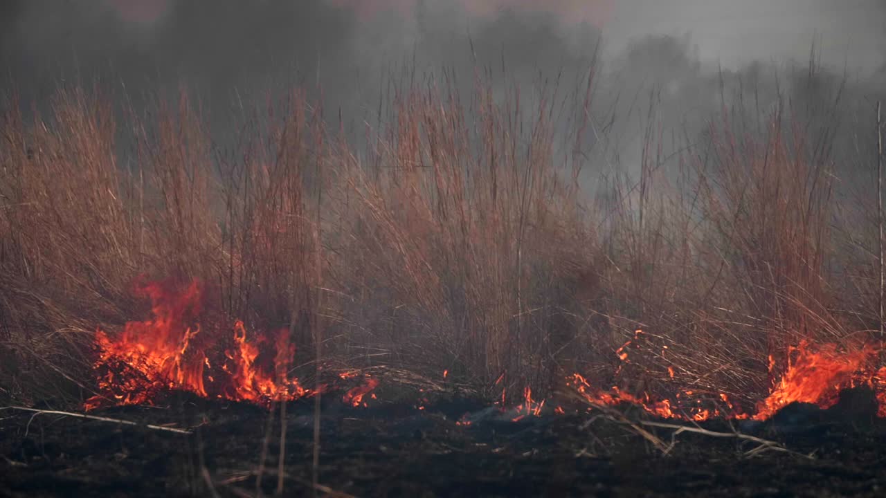 Slow motion control burn of field grass