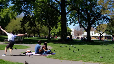 park picnic day